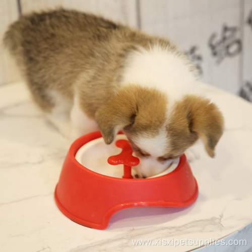 Slow Feeder Dog Bowl Pet Slow Eating Bowl
